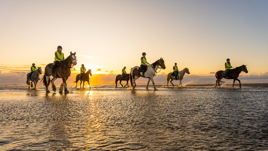 Muriwai and horses