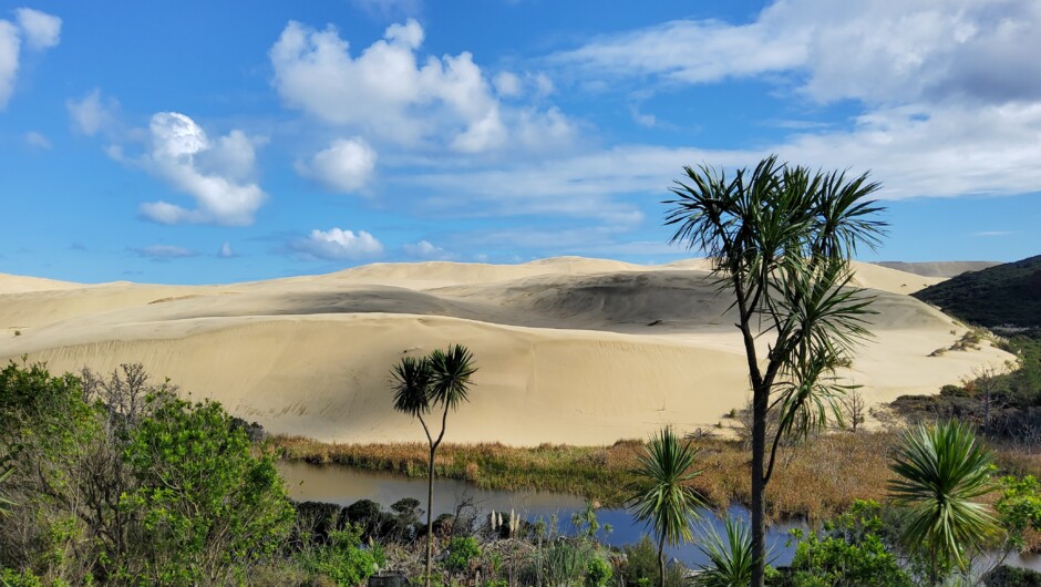 Te Paki Sand Dunes, Northland