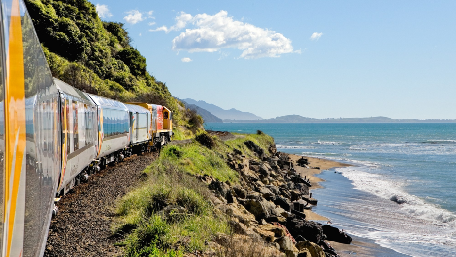 Coastal Pacific near Kaikoura