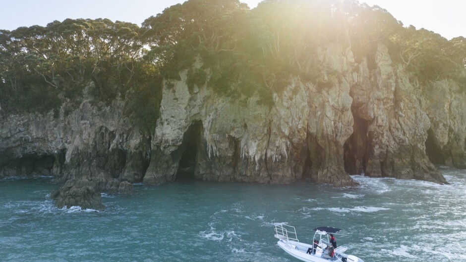 Whenuakura - Donut - Island View