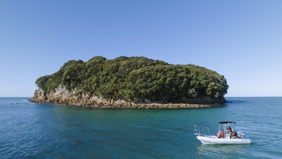 Discover Whangamata - Boat Tour | Activity in The Coromandel, New Zealand