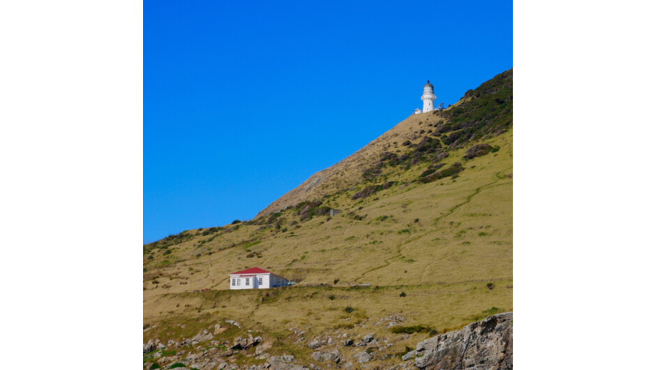 Cape Brett Lighthouse