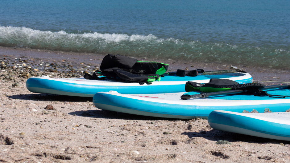 Standup Paddleboarding in the calm sheltered waters of the bay