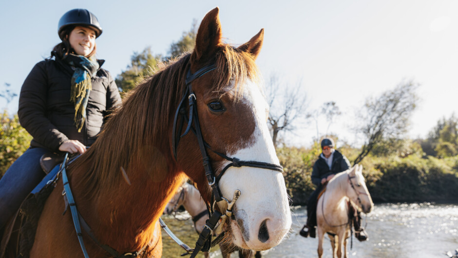 The horses having a well-deserved drink at the start of the river.