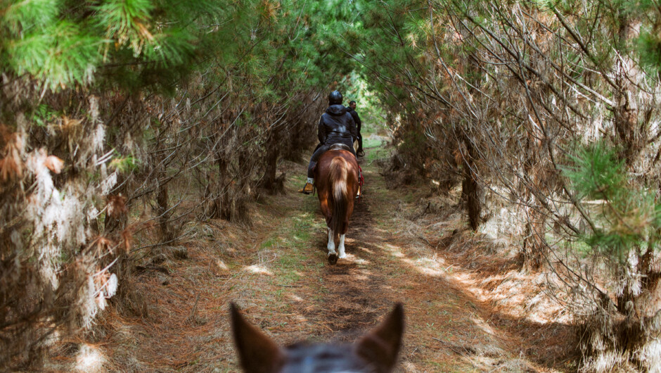 Riding through the Enchanted Forest before heading to the river.