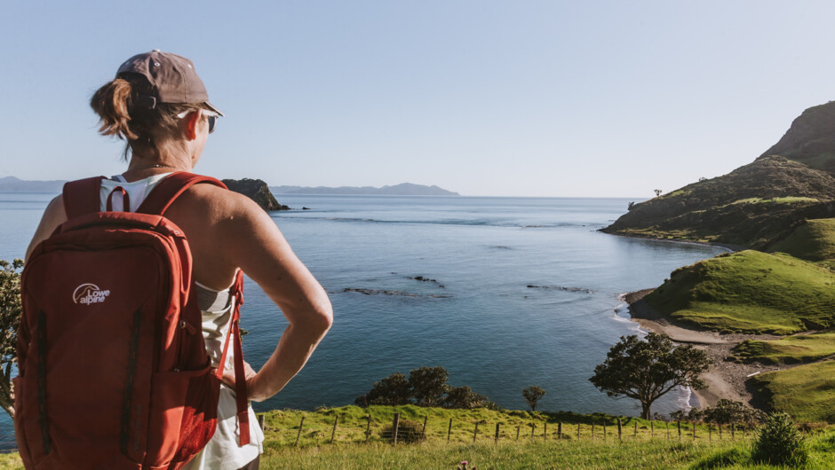 Walking the stunning Pahi Coastal Track, where you walk to 3 gorgeous beaches.