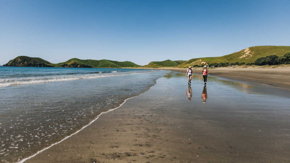 Finishing your day walking along the untouched Port Jackson beach.