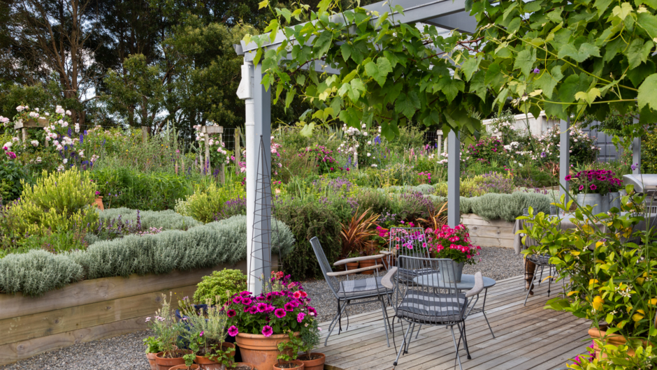 The Herb Garden and Veranda at Longbush Cottage