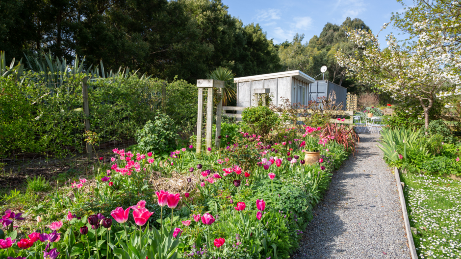 The Long Border during the annual Tulip Festival in October at Longbush Cottage