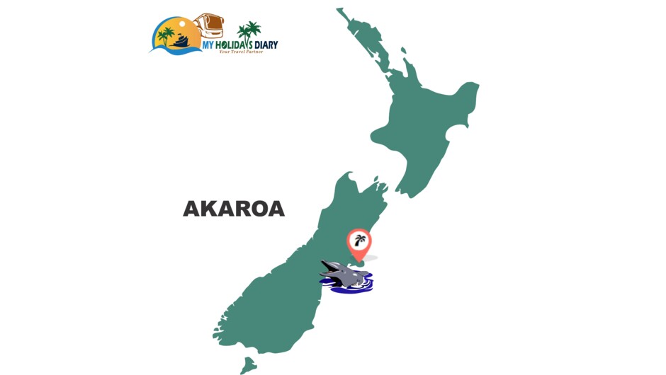 Akaroa Day Tour from Christchurch