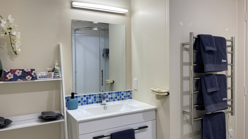 Modern bathroom with heated towel rail. Solar heated hot water shower.