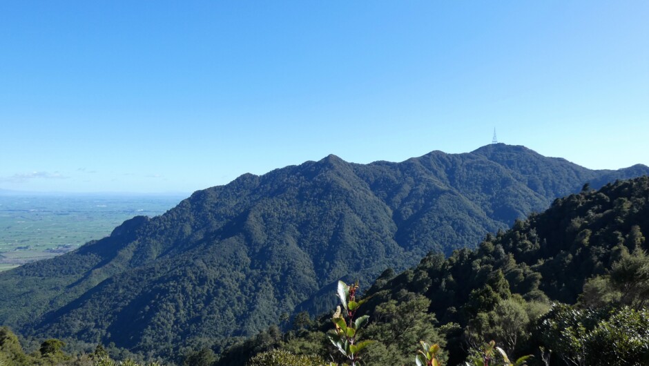 Kaimai Range, Mount Te Aroha