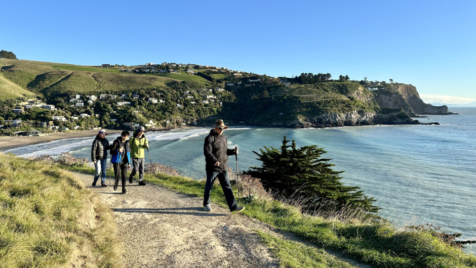 Godley Head Track