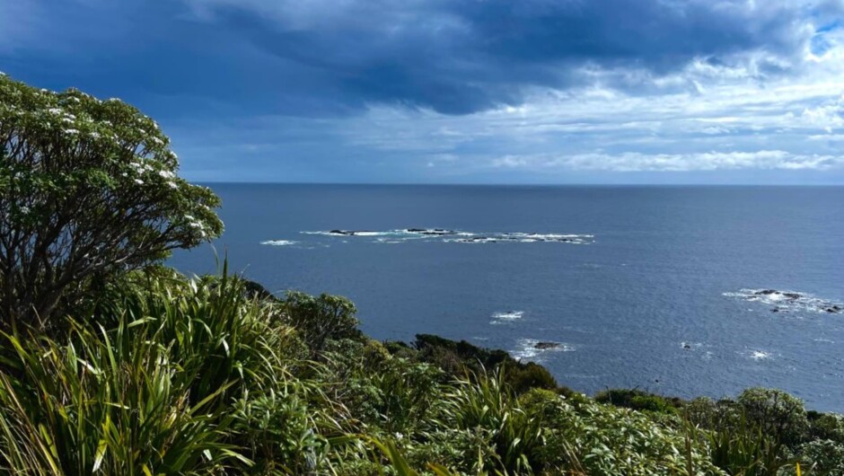 Sailing around Stewart Island, New Zealand