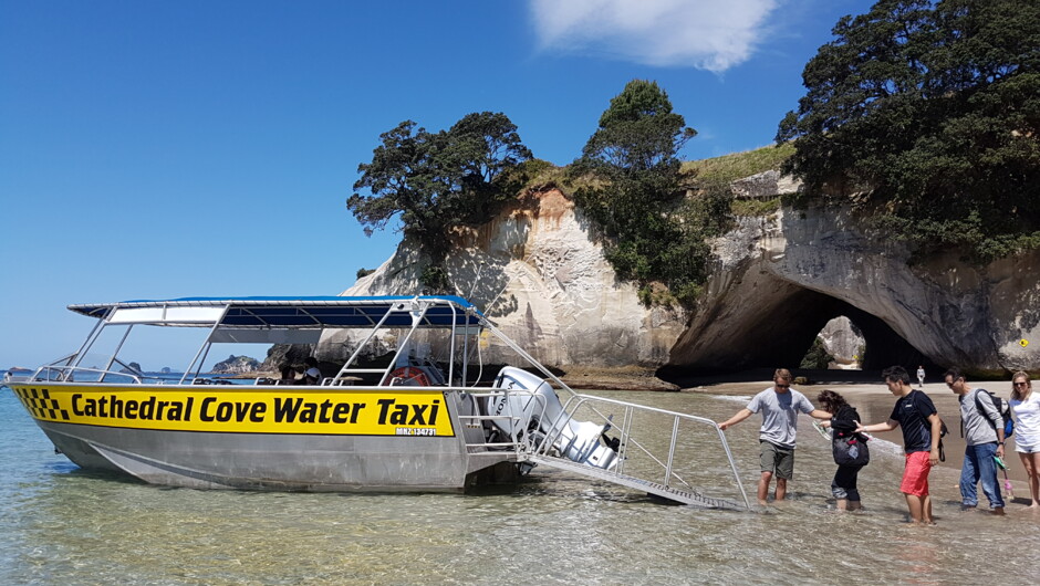 Happy customers returning from Cathedral Cove beach