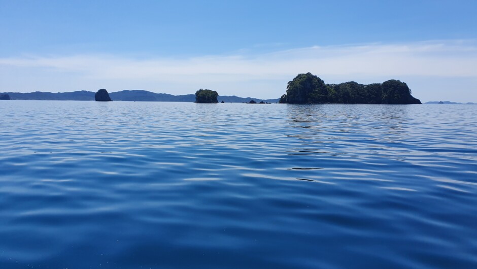 Te Whanganui a Hei Marine reserve