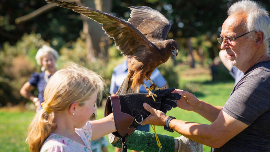 The Raptor Experience is suitable for children