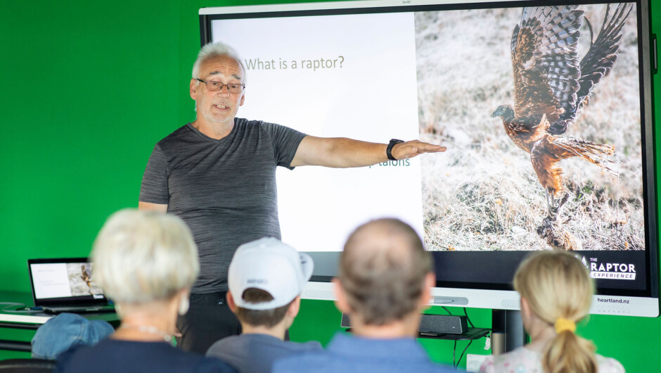 Learning about New Zealand Raptors