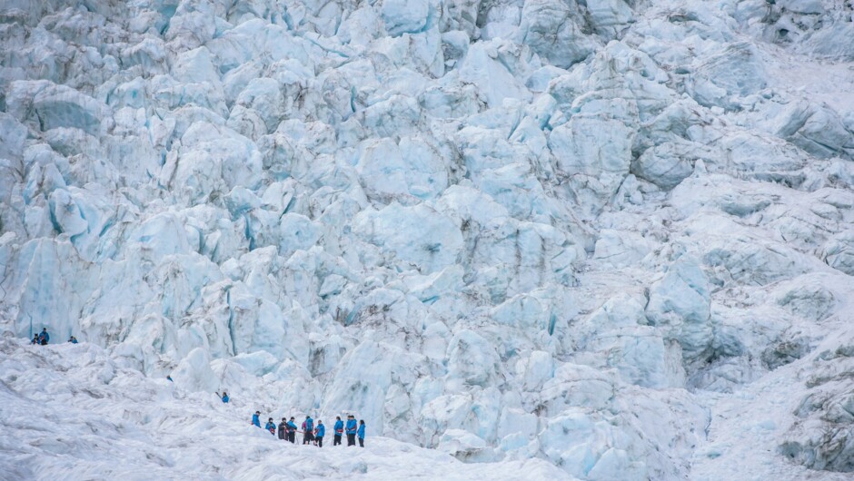 Franz Josef Glacier