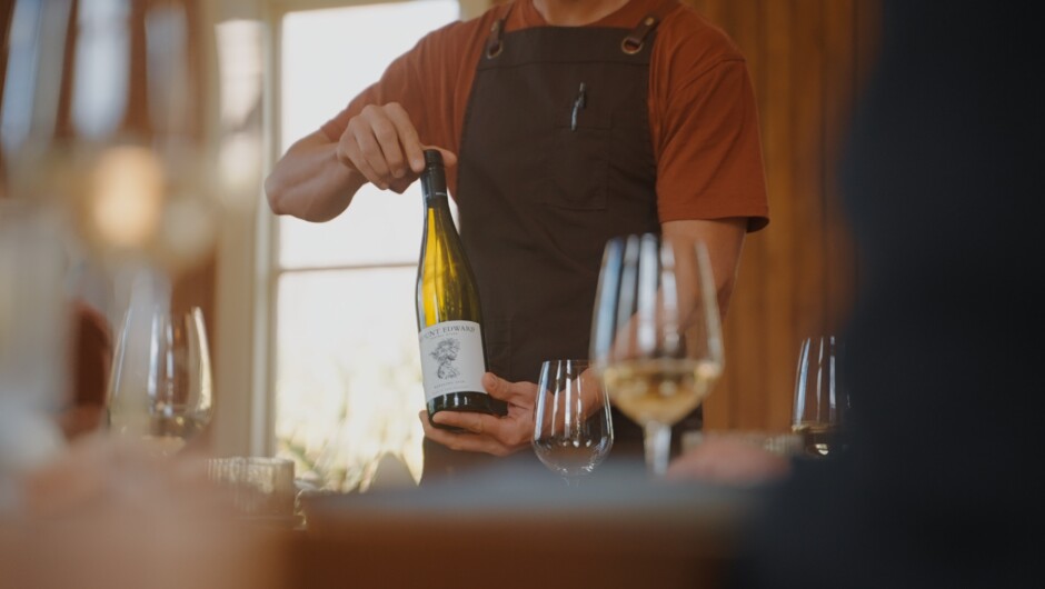 Wine tasting with cheese board at a local winery.