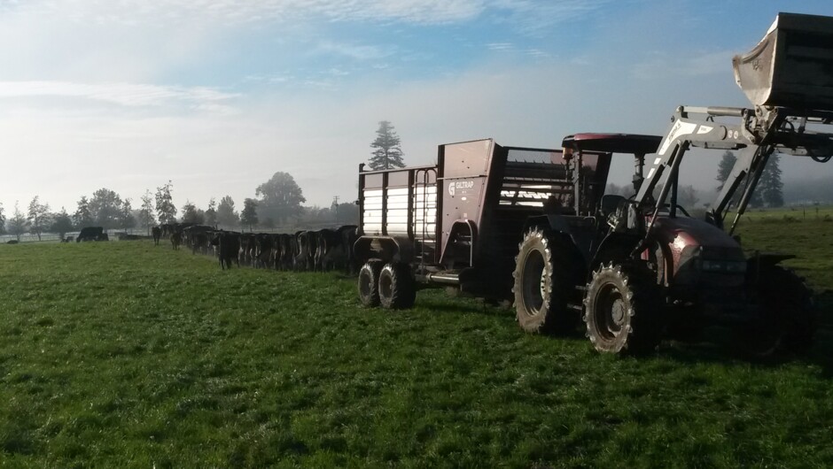 Tractor in the paddock