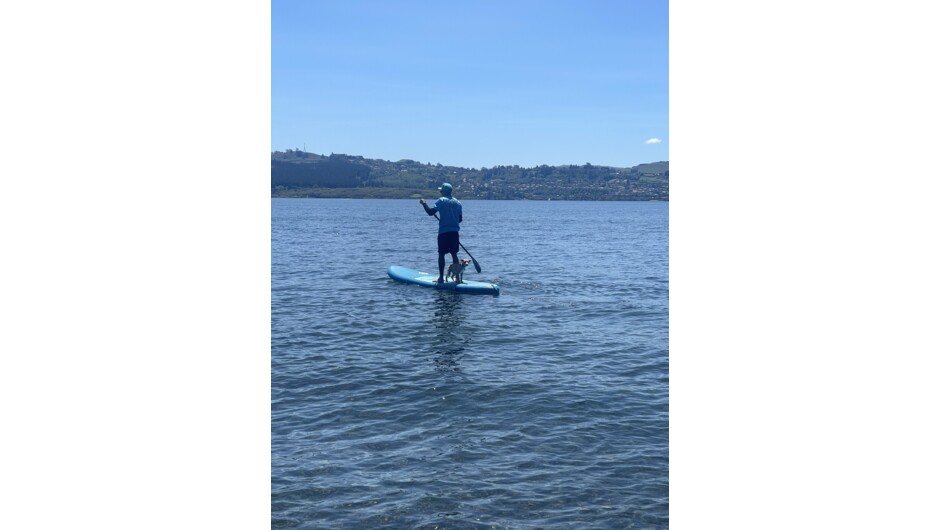 Stand up paddle boards (SUP) are a fun, easy way to see the lake.