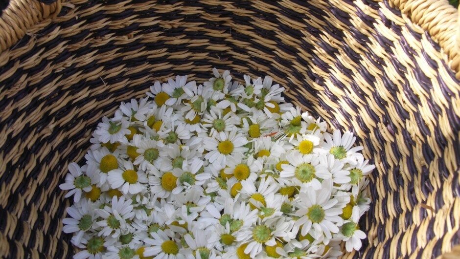 Foraged basket