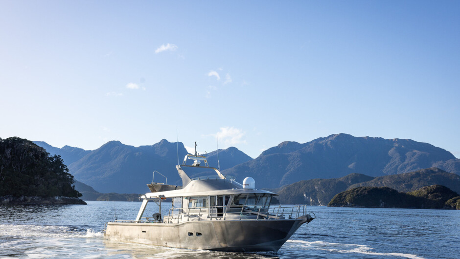 The expansive aft deck provides a spacious platform for guests to immerse themselves in the rugged landscape, whether for taking in the scenic beauty, wildlife viewing, or foraging for their lunch, amplifying the richness of their Dusky experience.