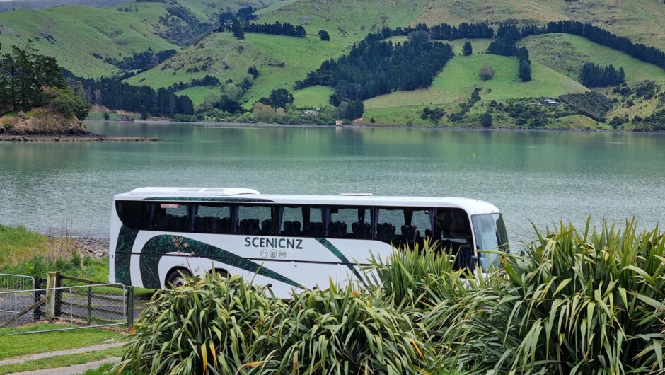 ScenicNZ at Port Levy, Banks Peninsula