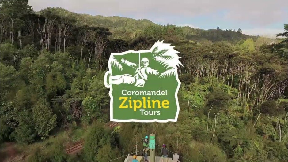 Coromandel Zipline Tours in 30 Seconds