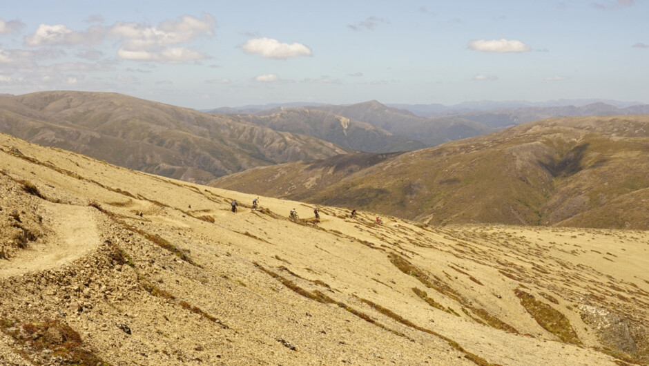 Kaimanawa Ranges back drop