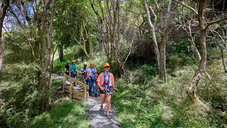 Learn about NZ's native fauna and flora on our beautiful forest trails