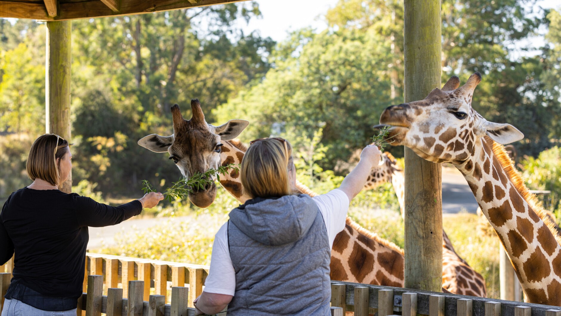 Orana Wildlife Park | Activity in Christchurch - Canterbury, New Zealand