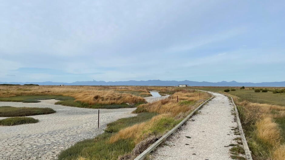 Walking trail to the bird hides