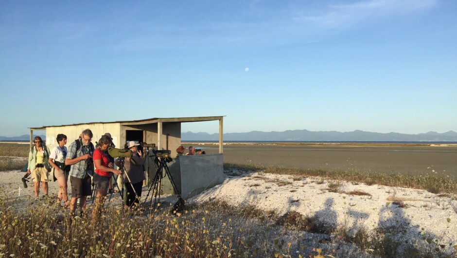 Bird watching from our hide