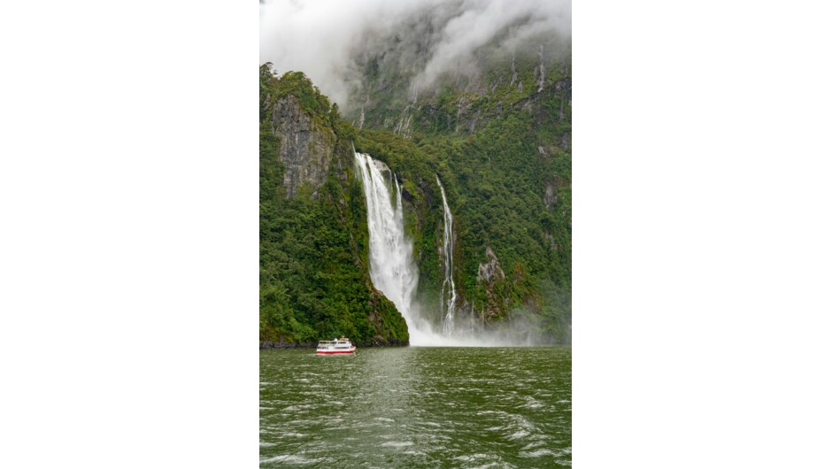Once in a lifetime cruise in Milford Sound, Fiordland