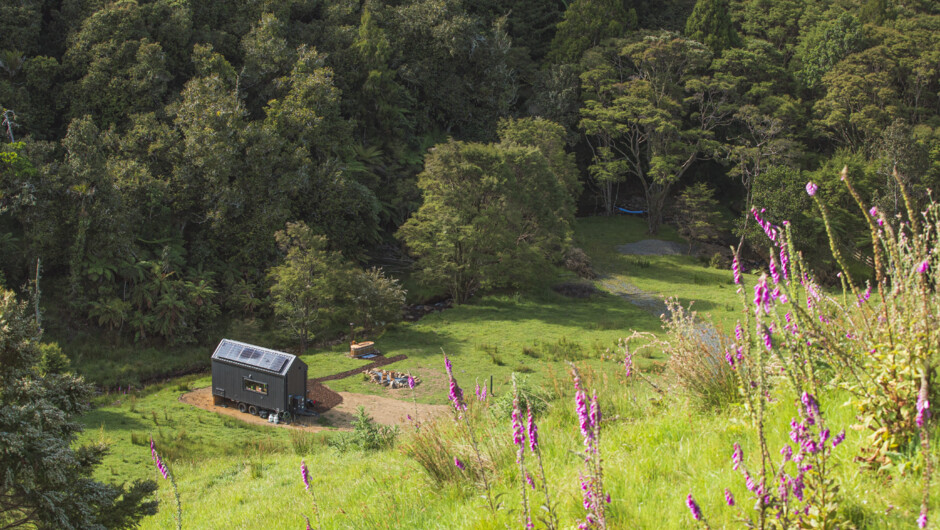 Sometimes you need to go somewhere to hear yourself think - Max - Kawakawa Bay