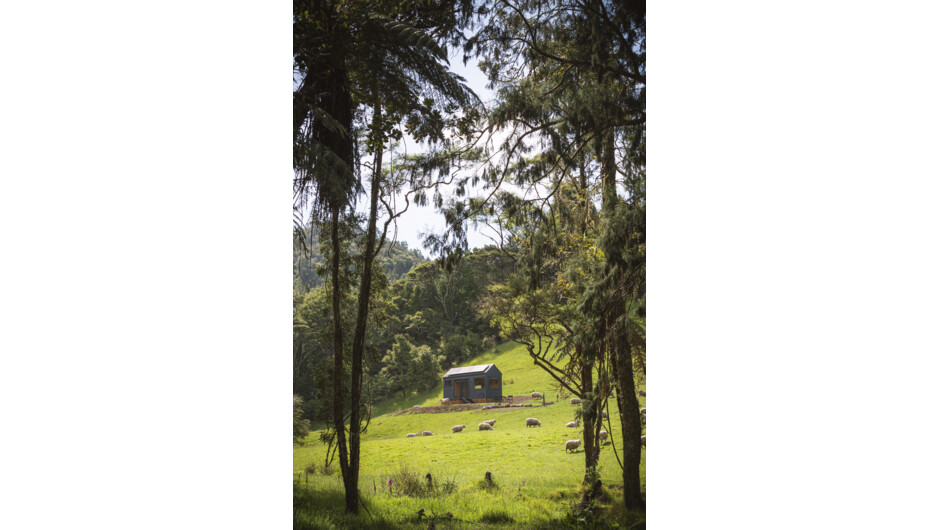 You'll find her amongst a native bush and a cascading river - Maia - Kawakawa Bay