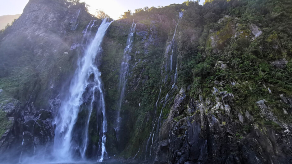 Milford Sound Cruise - included activity.