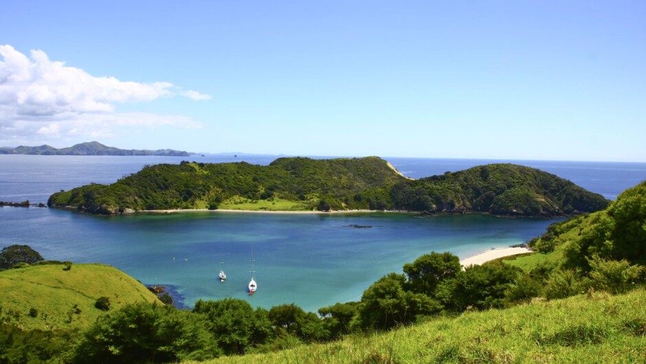 The Bay of Islands