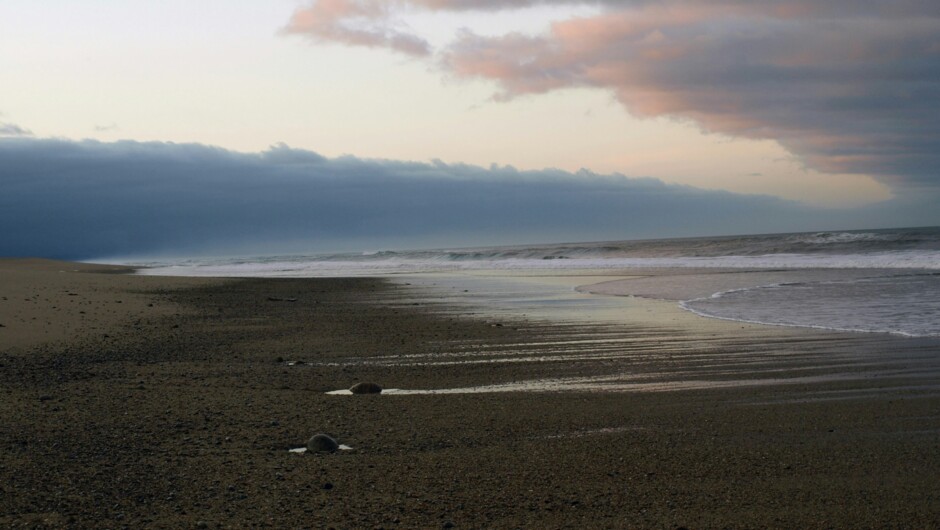 Heaphy Track