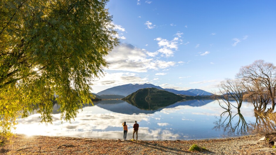 Lake Wanaka view