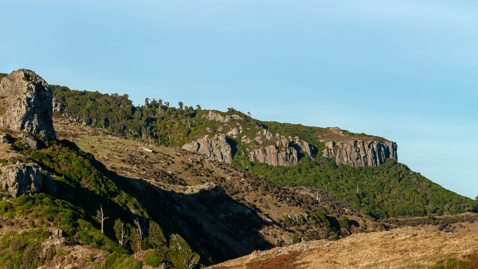 Rock climbing outdoor on the rim of ancient Bank Peninsula volcano overlooking the Akaroa Harbour.