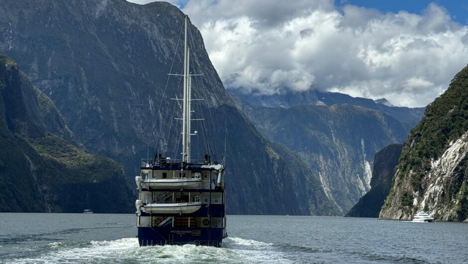 Stunning Milford Sound Nature Cruise included