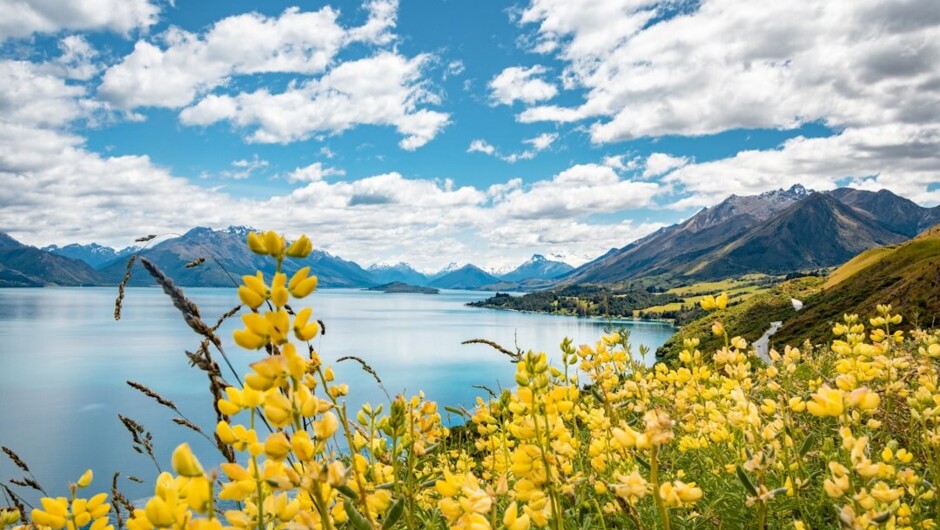 Glenorchy Road from Queenstown