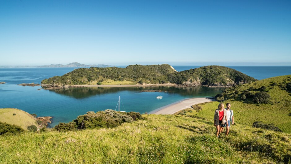 View of Bay of Islands