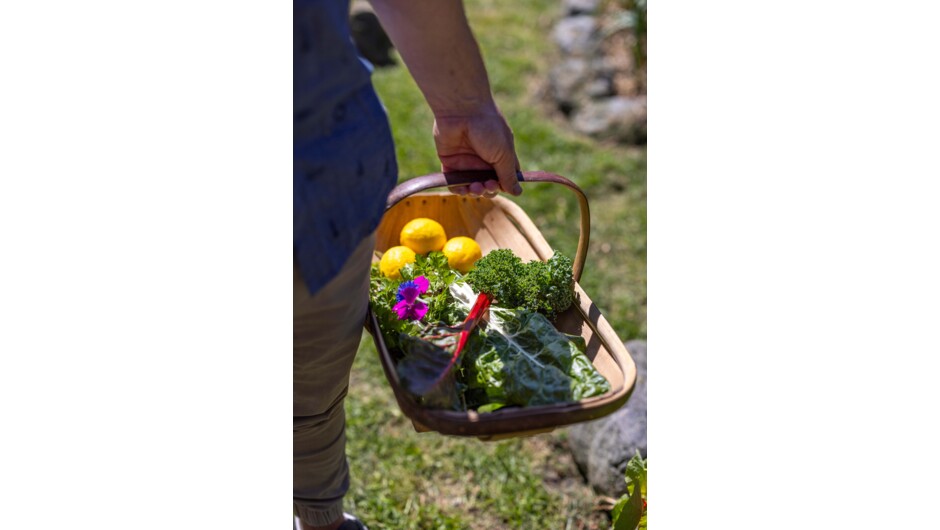 Foraging tour at Hapuku Kitchen