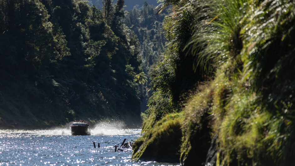 Jet boating the Whanganui River