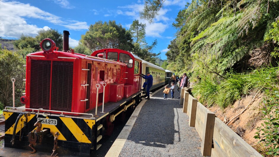 Te Ake Ake platform provides more local stories and breathtaking scenery only accessible by train or bike.