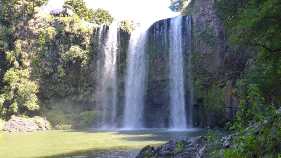 Whangarei Falls